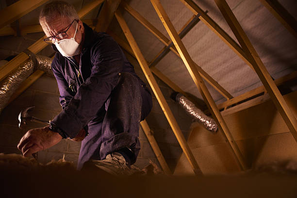 Best Insulation for Specific Applications in Lake Lorraine, FL
